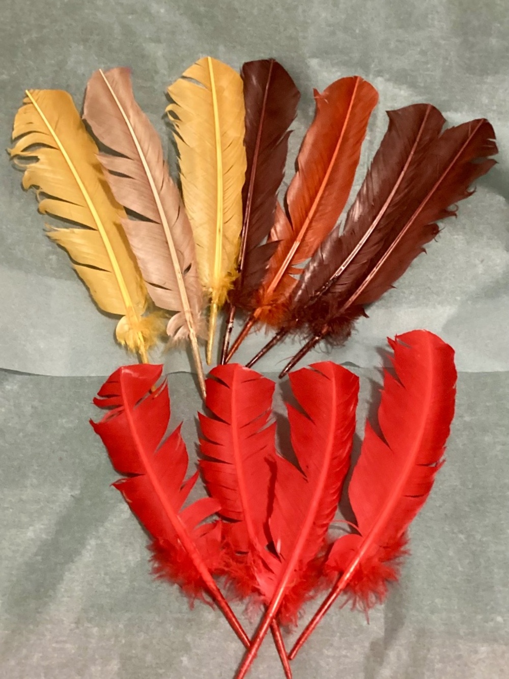 Autumn Feathers (11)
